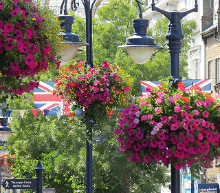 Could you apply for an RHS community wellbeing grant?