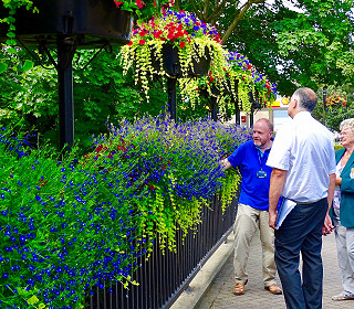 What’s going on with Britain in Bloom?