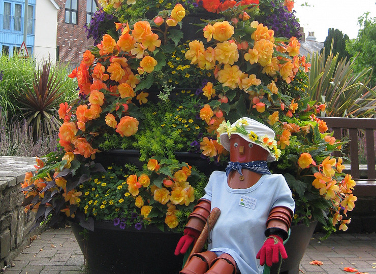 Celebrating Amberol customers in the national Britain in Bloom finals – Small towns and towns