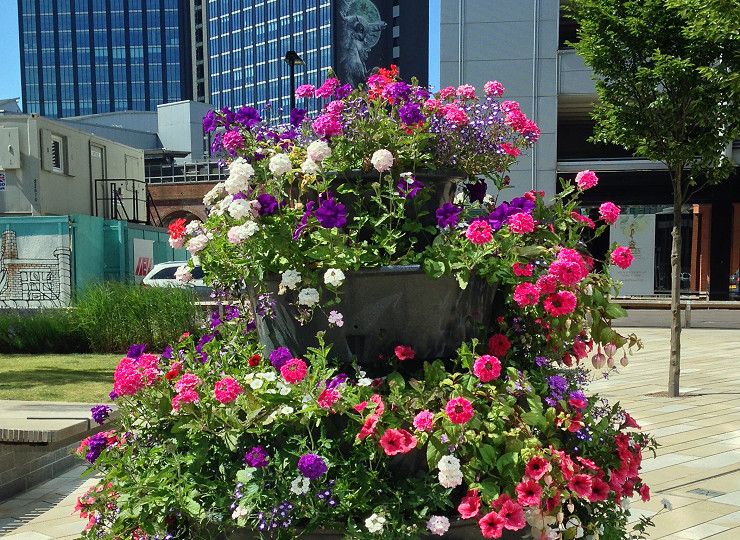 Britain in Bloom 2018 national awards announced