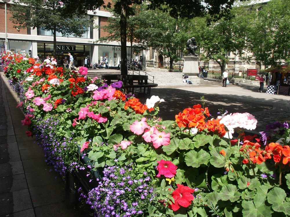 ‘Say it with flowers – and Amberol,’ says Norwich City Council