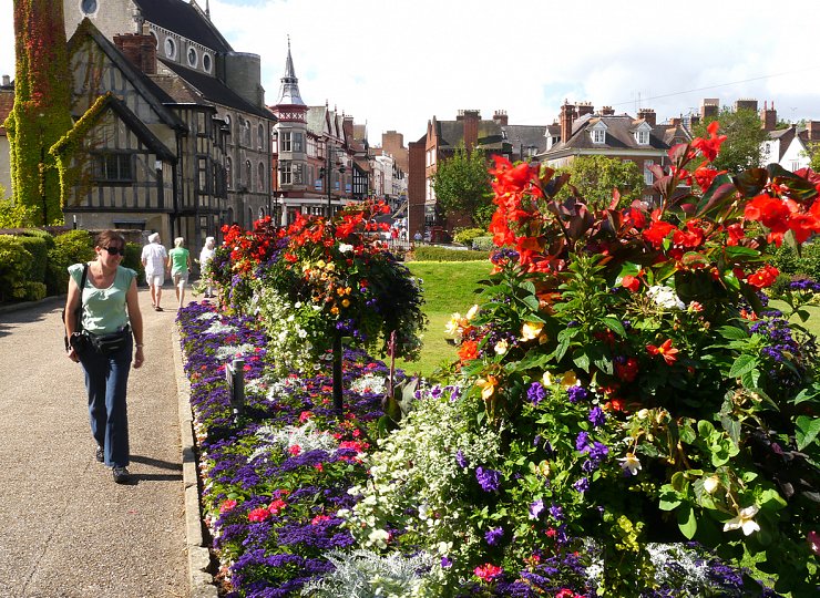 Amberol helps Shrewsbury become the town of flowers