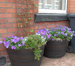 Amberol support RHS research into link between gardening and wellbeing