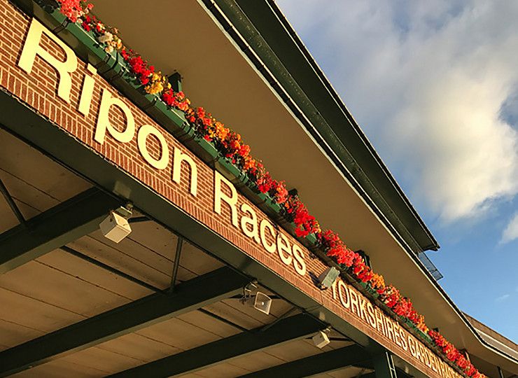 Amberol self-watering planters help racecourse win award