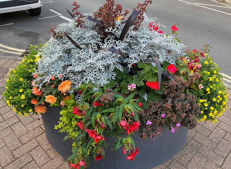 Celebrating Amberol customers in the national Britain in Bloom finals