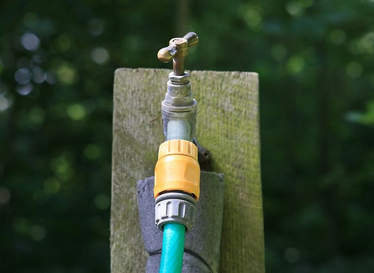 How to save water in your garden this summer