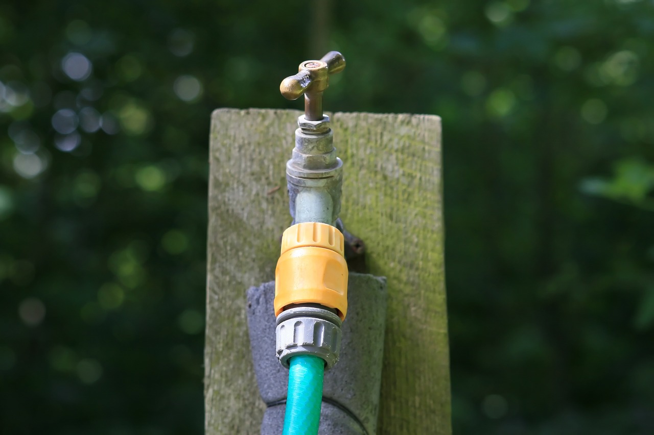 How to save water in your garden this summer