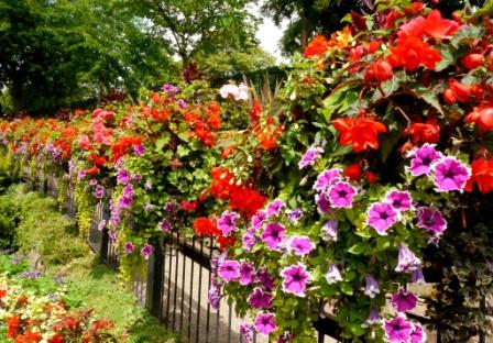 Greening Grey Britain - Amberol’s advice features on Publicnet