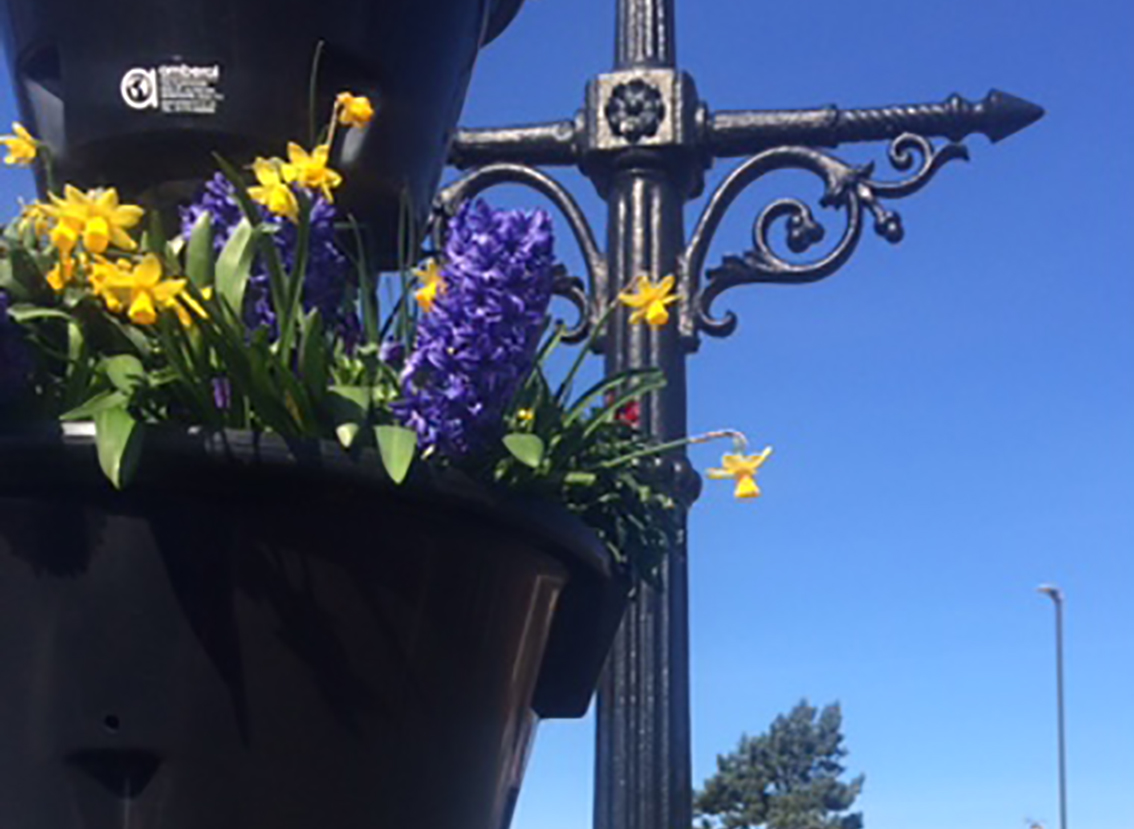 Guide to planting self-watering spring containers