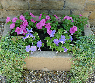 Container gardens showcased at the Chelsea Flower Show