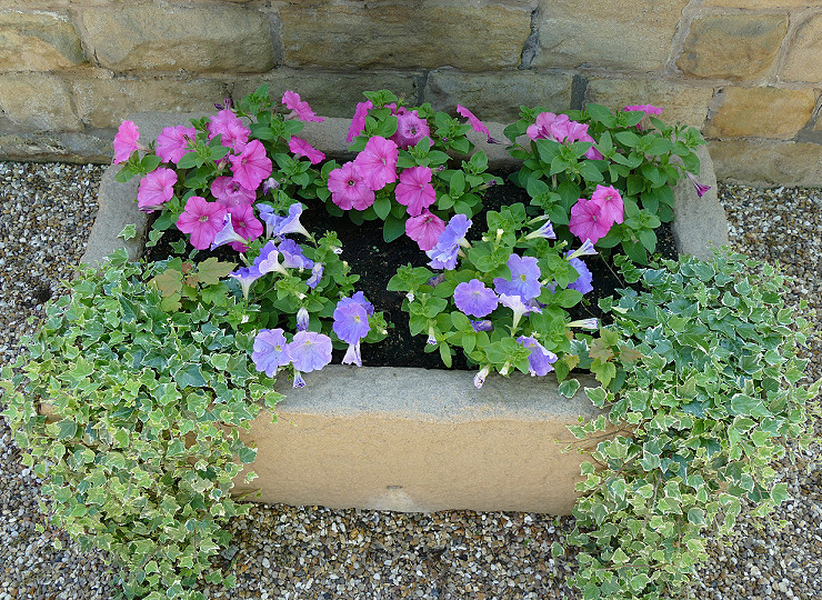 Container gardens showcased at the Chelsea Flower Show