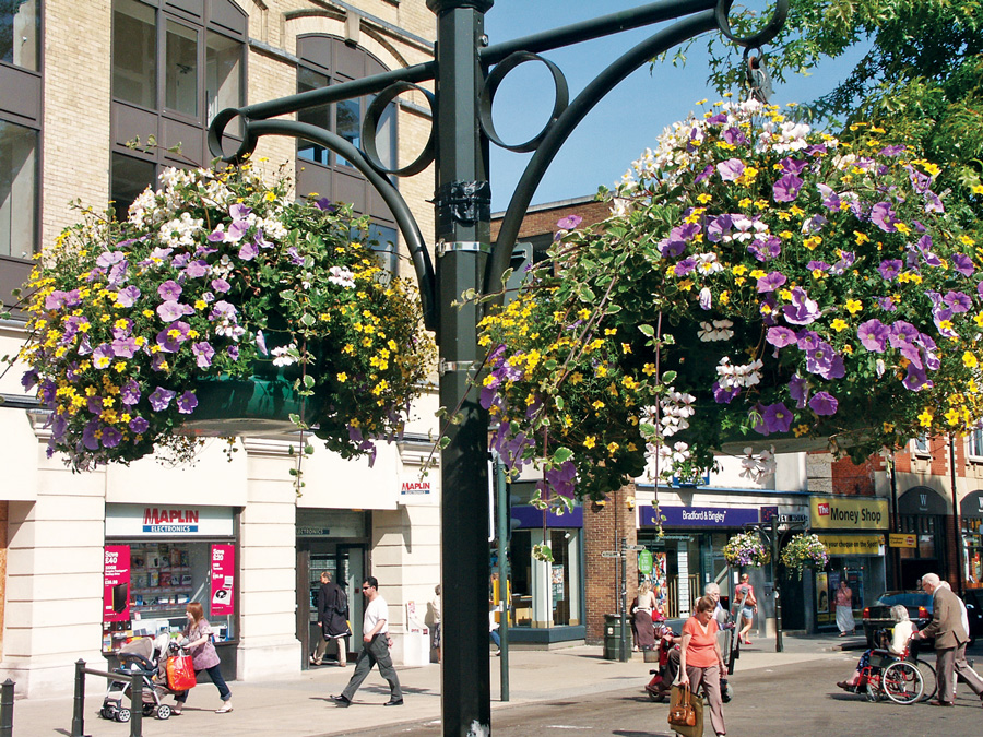 Tips for Britain in Bloom – horticultural achievement