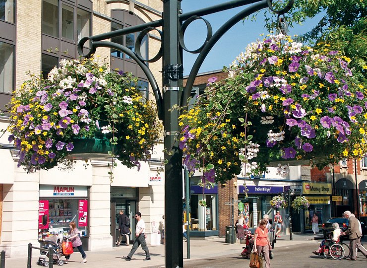 Tips for Britain in Bloom