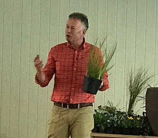 Toby Buckland’s top tips for creating beautiful planters