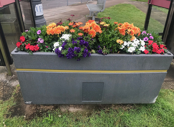 Self-watering planters a social distancing solution after driest May on record