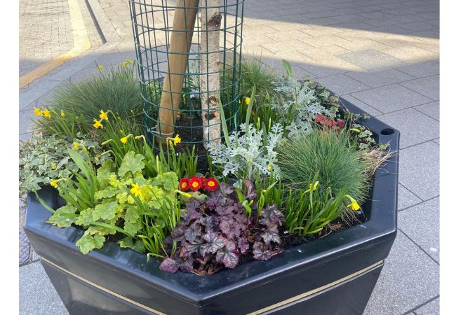 Wickford in Bloom WIN Photo Competition