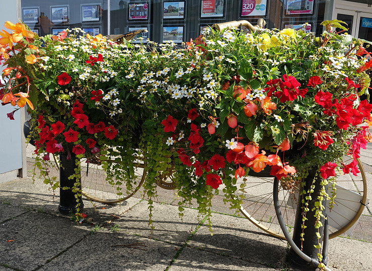 Grab some inspiration with Amberol’s free plant-ups guide