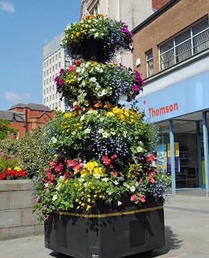 Self watering planters for manageable displays