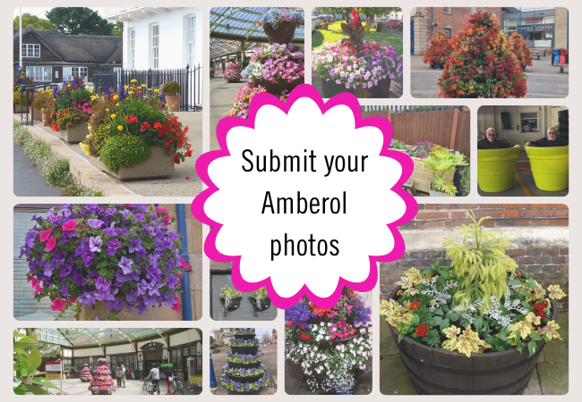 Amberol photo competition update: now open until 31 December 2026