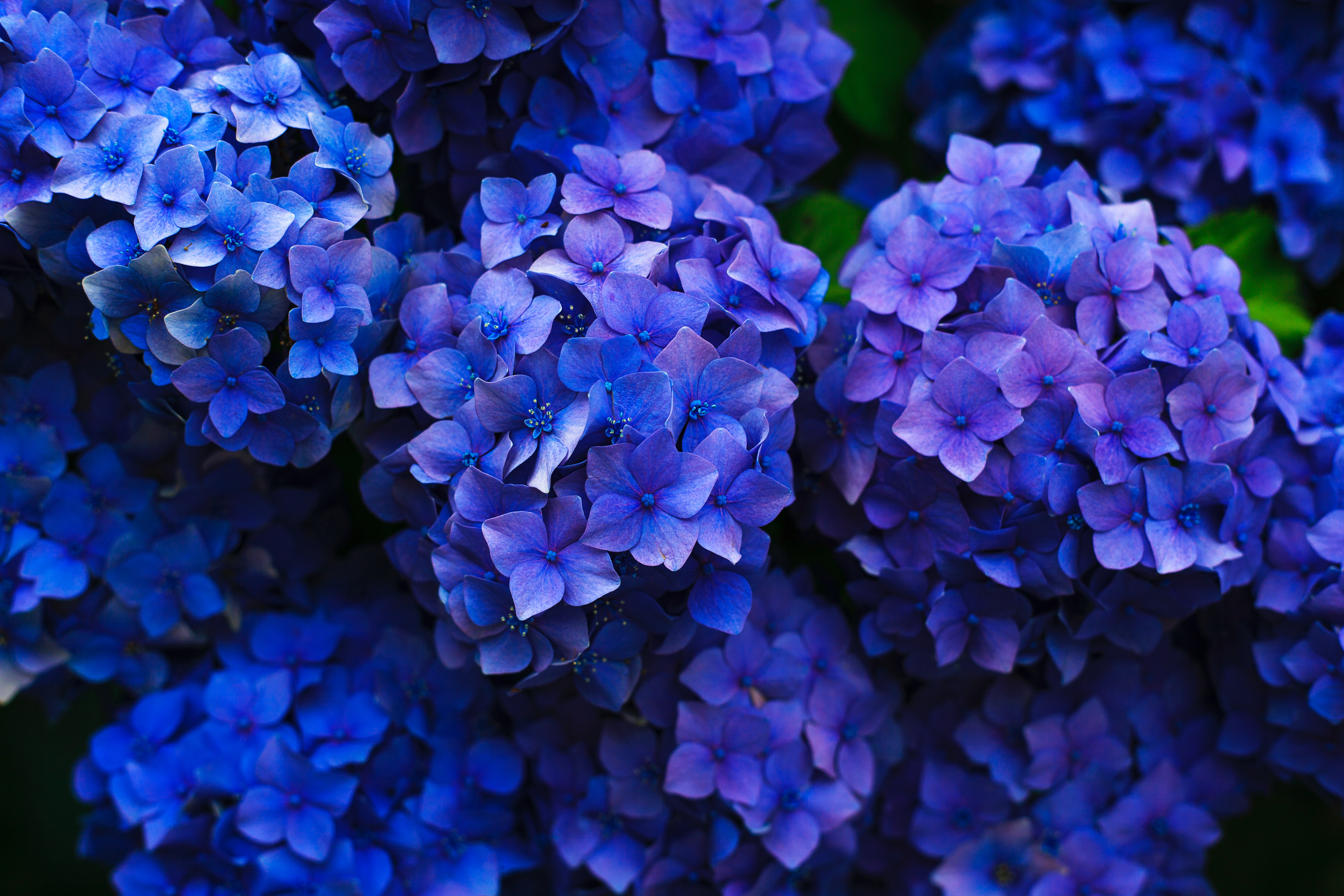 Thanks to Gaetano Cessati Gaetano cessati CCy2UFLO1Mg unsplash