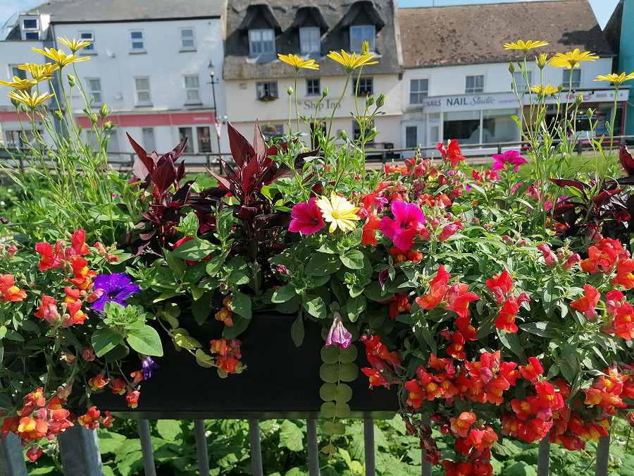 Inbound1127545915182480346