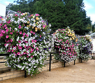 Calling all councils! You could win £1000 of Amberol products in our 2023 competition