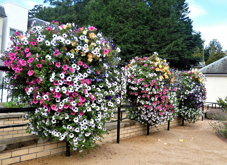 Calling all councils! You could win £1000 of Amberol products in our 2023 competition