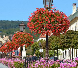 Announcing the winner of Amberol’s December photo competition