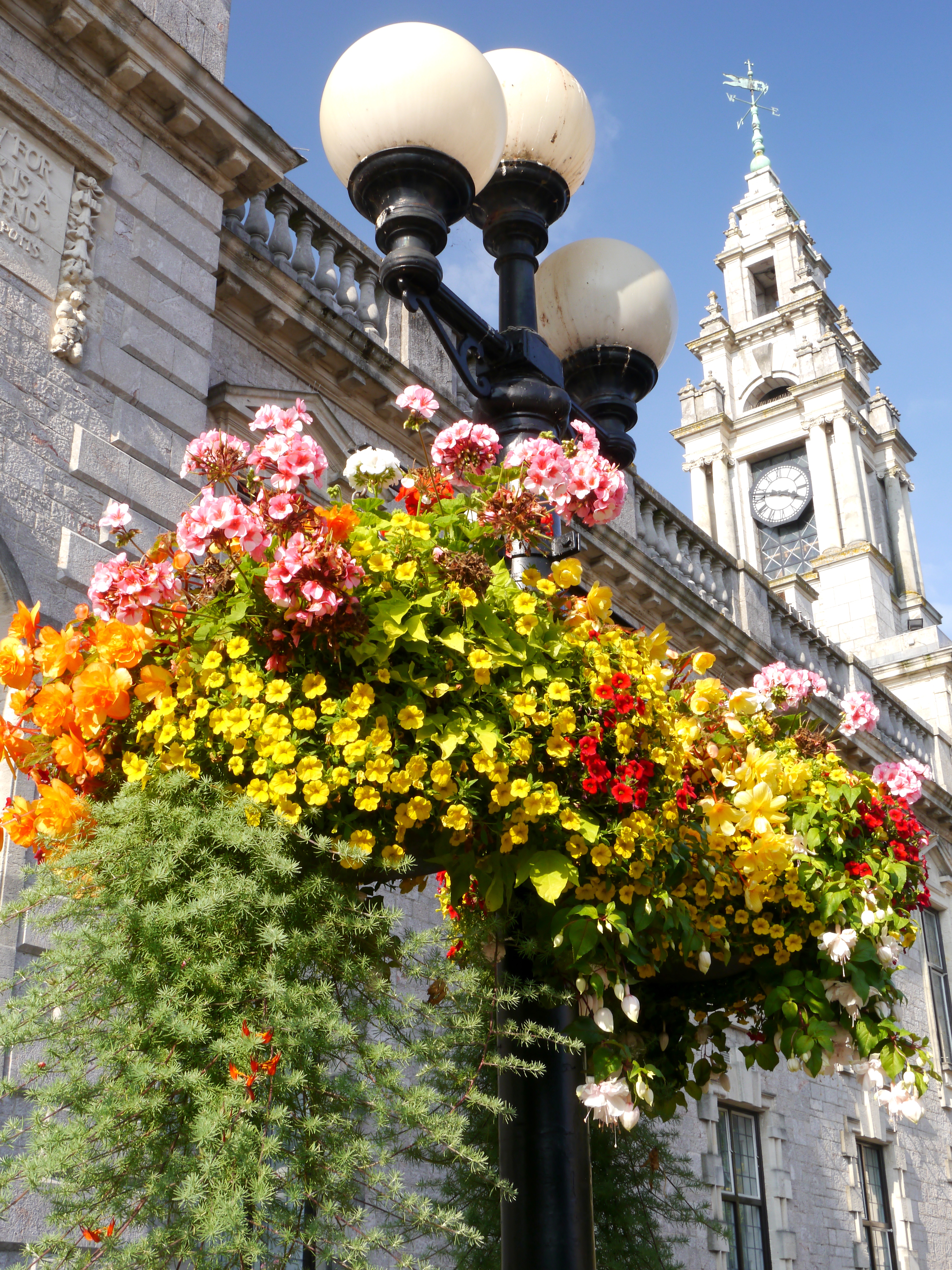 Self-watering planters save you time & money